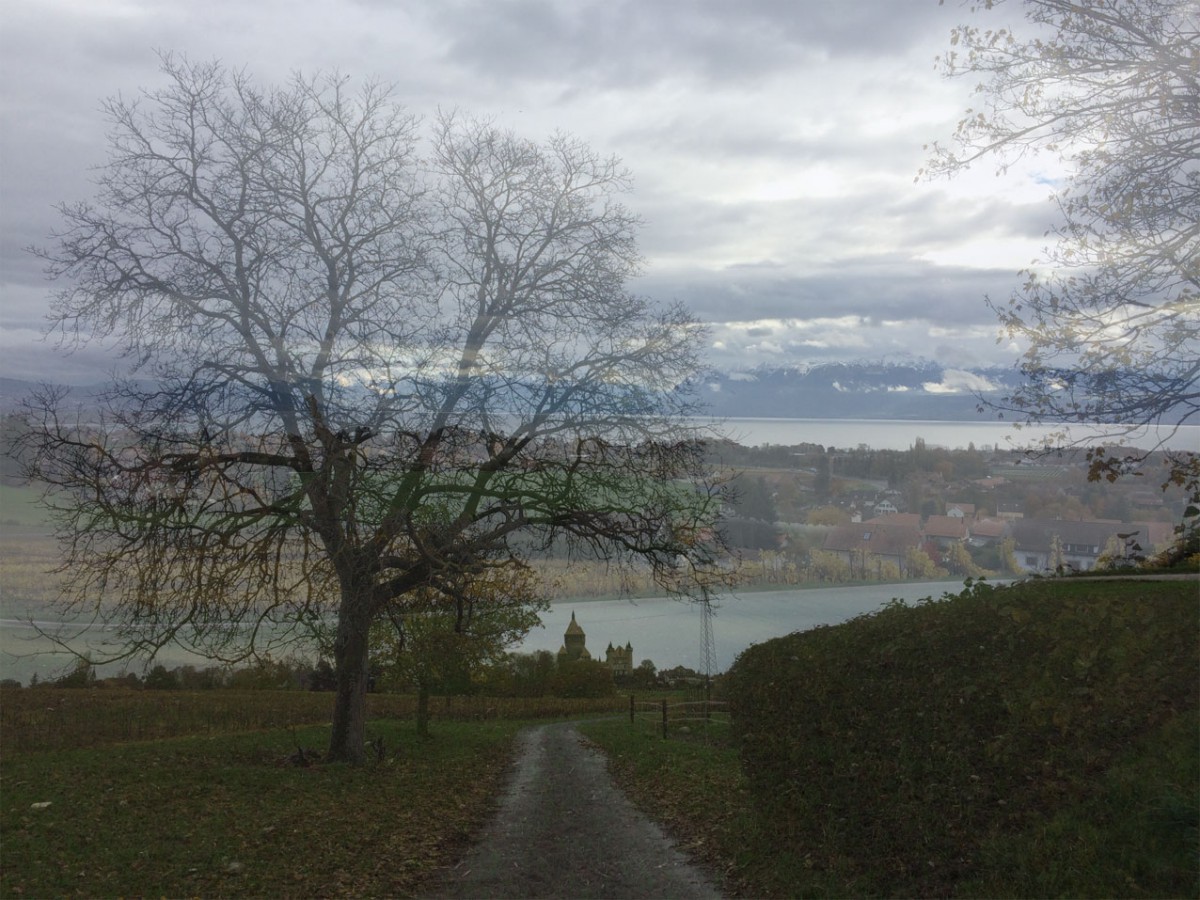 Quelques chiffres…