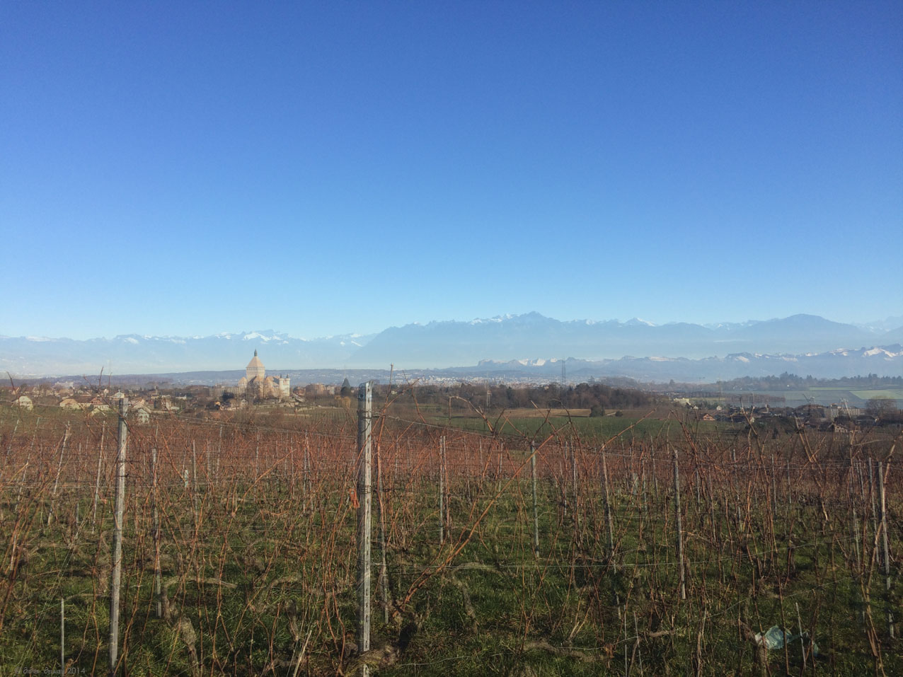 Spicilège – 3