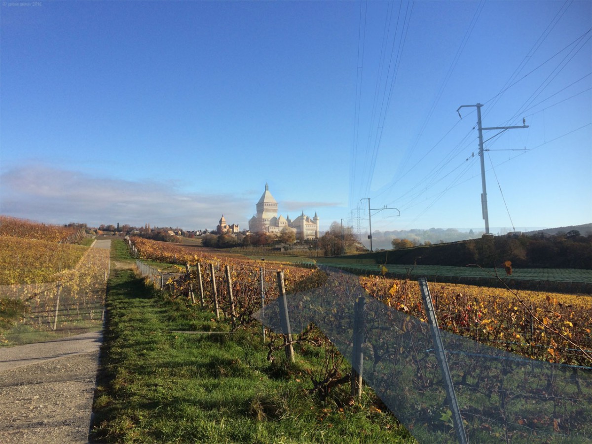 Je blogue, donc je pollue ! (2)