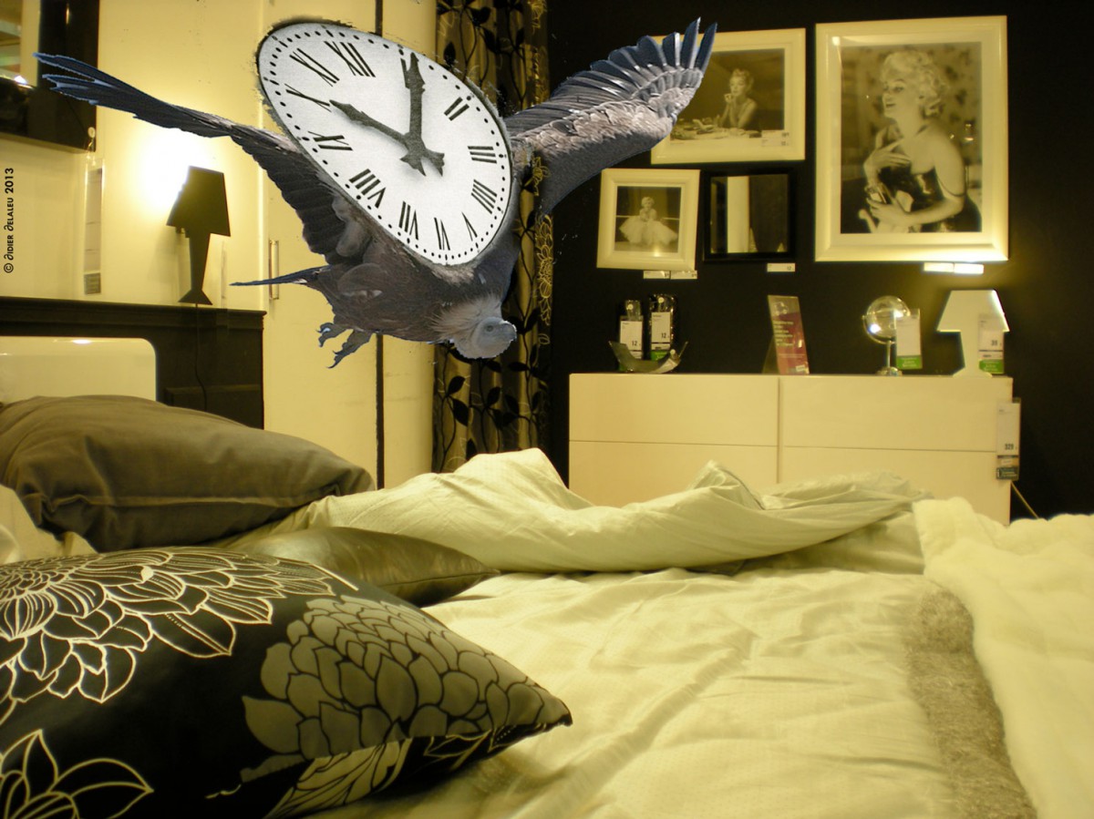 Le Condor et le Réveil